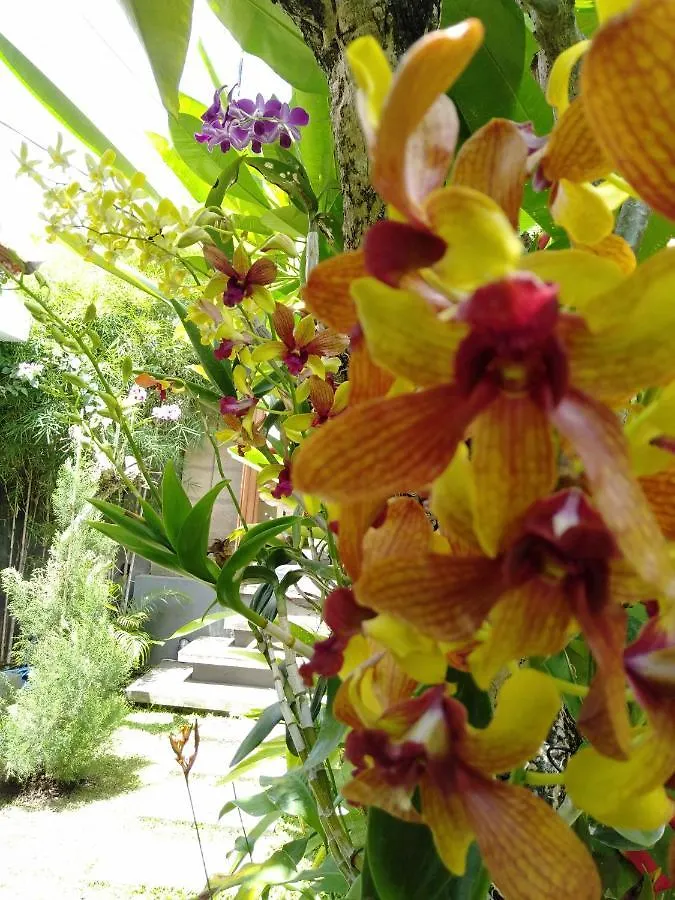 Bed and Breakfast Bhuana Alit 2 Ubud Ινδονησία