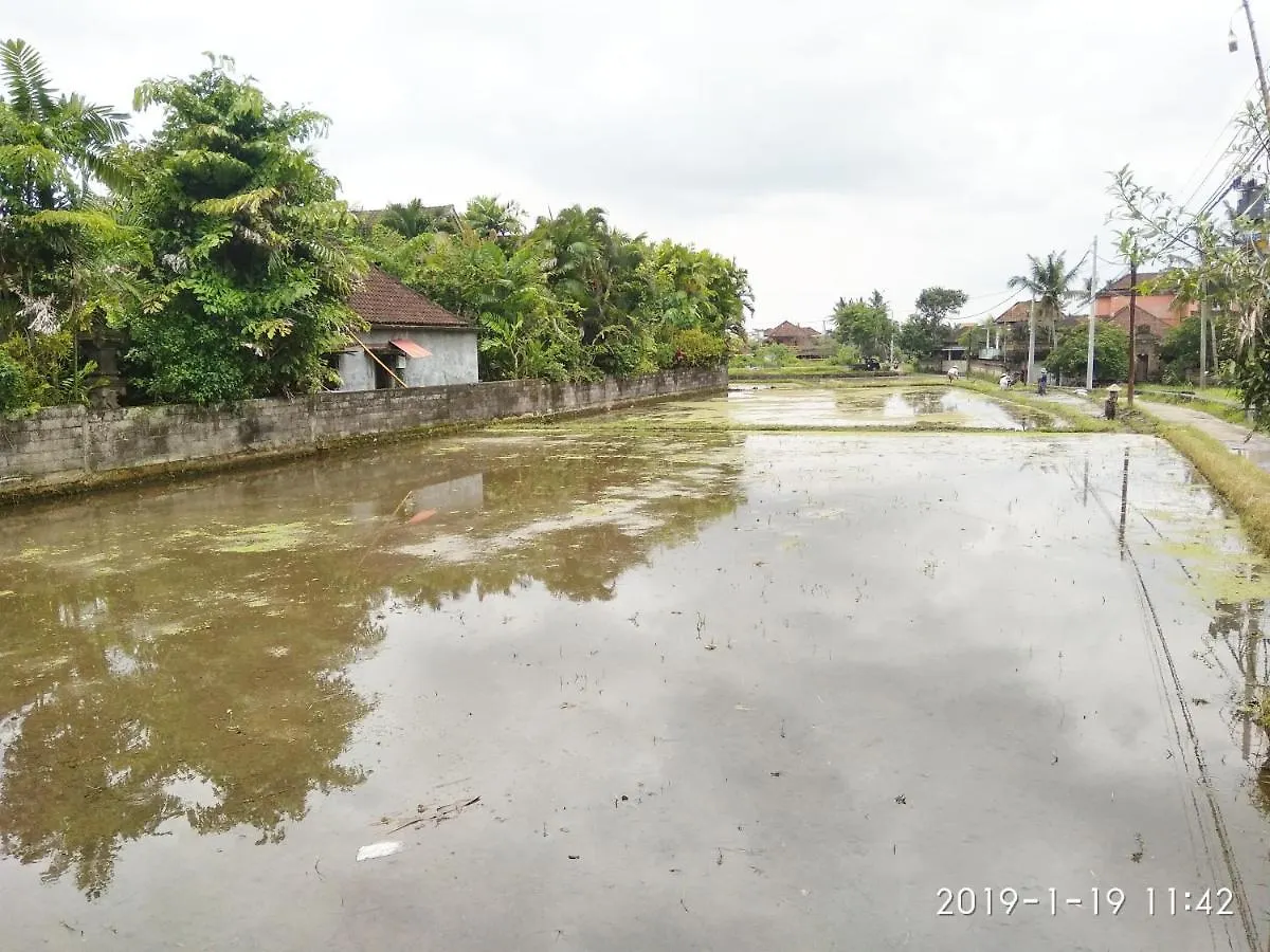 Bhuana Alit 2 Ubud