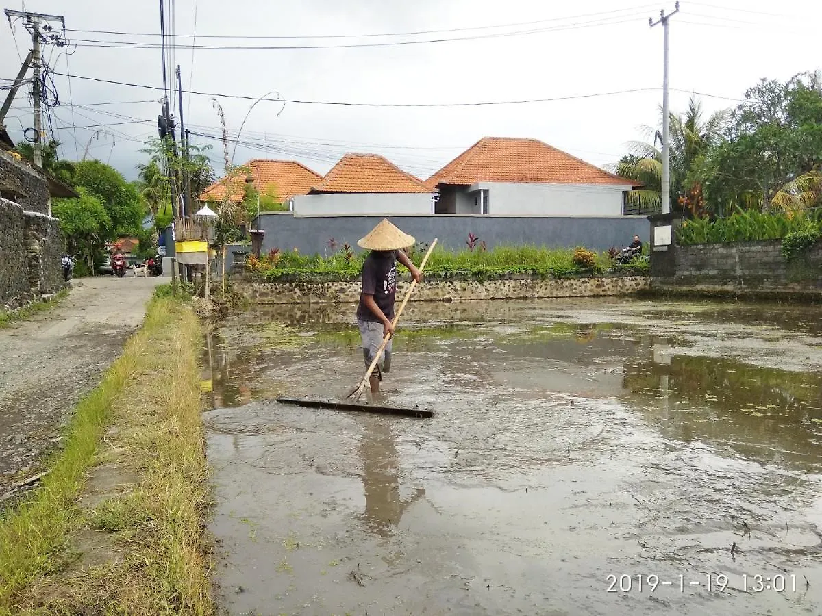 Bhuana Alit 2 Ubud 0*, 우붓