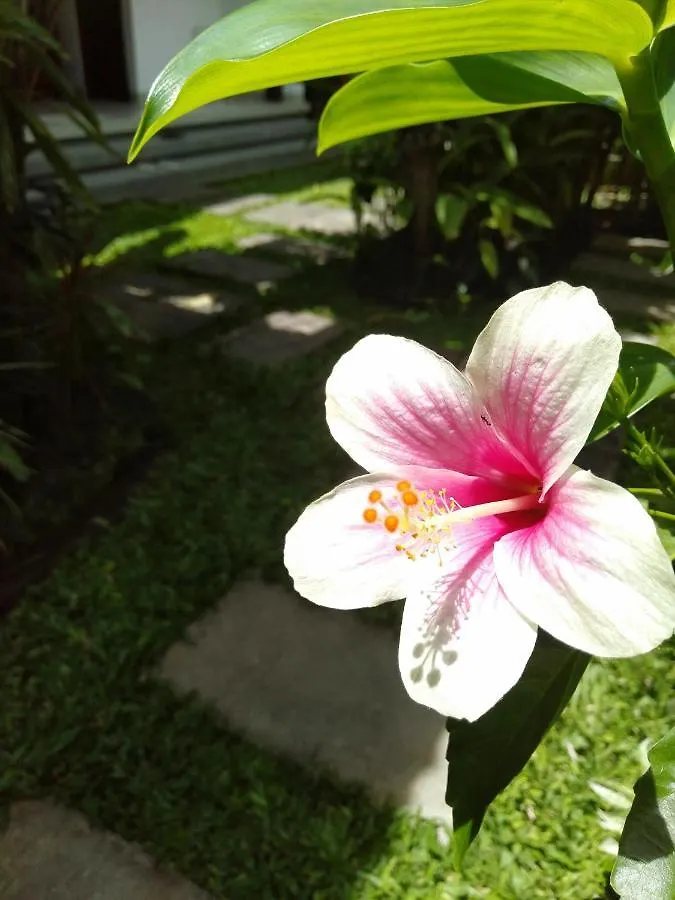 Bhuana Alit 2 Ubud Indonésie