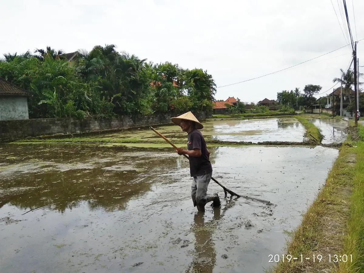Bed & Breakfast Bhuana Alit 2 Ubud Indonesia