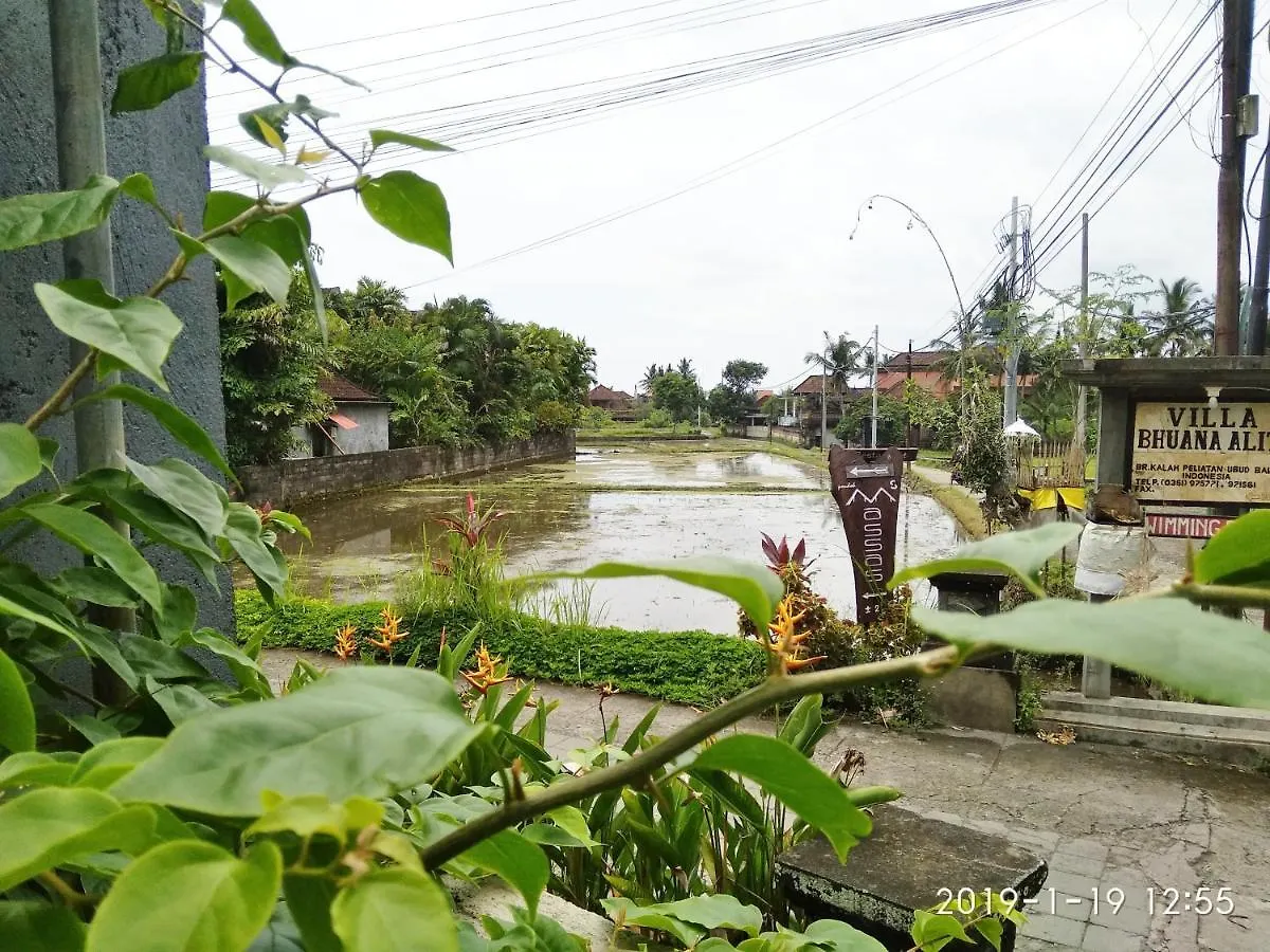 Bhuana Alit 2 Ubud Bed & Breakfast
